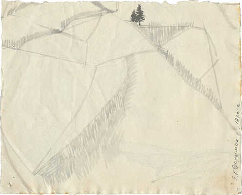 Дорфман Елизавета Григорьевна. Дерево